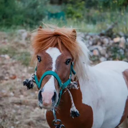 Gagouinos Koríthion