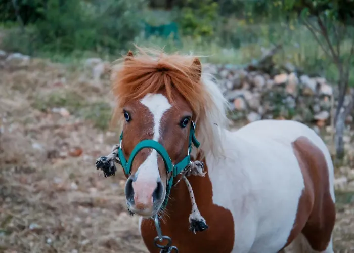 Gagouinos Koríthion